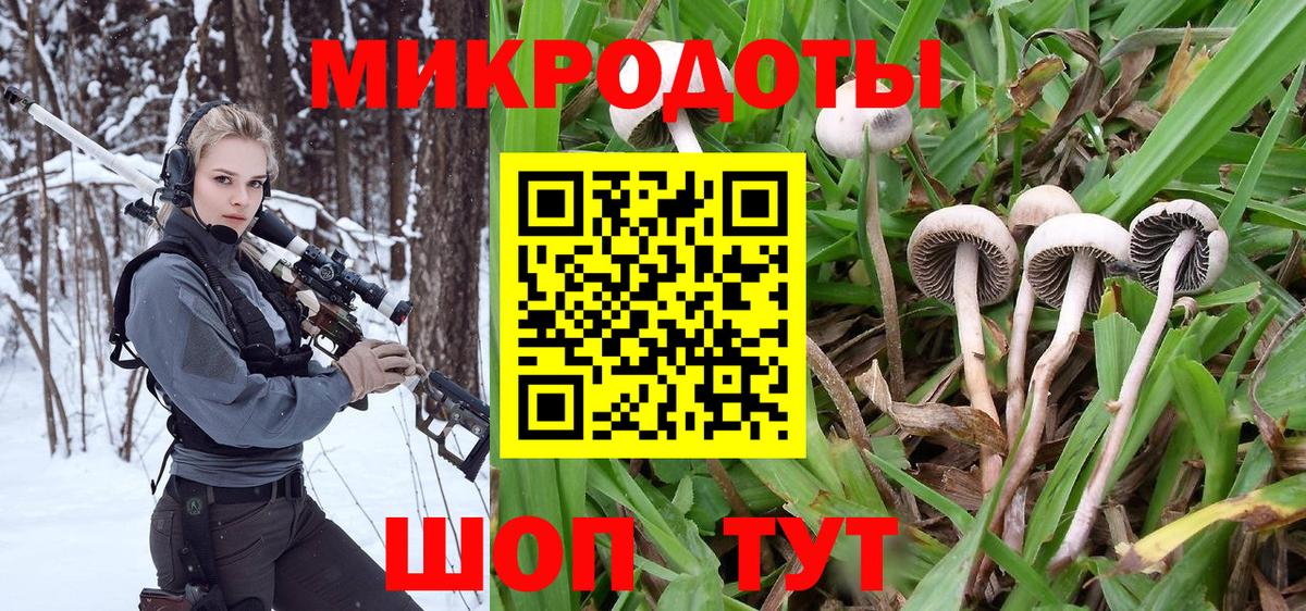 Псилоцибиновые грибы Cubensis Набережные Челны
